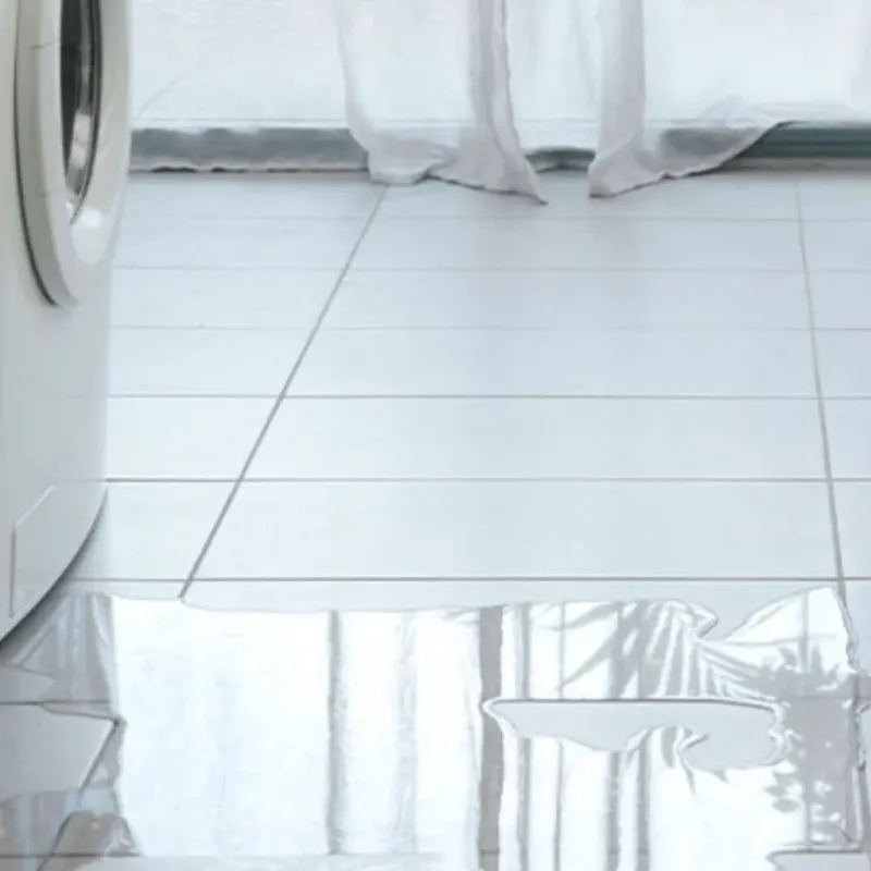 Appliance Leak Cleanup in Garland, UT