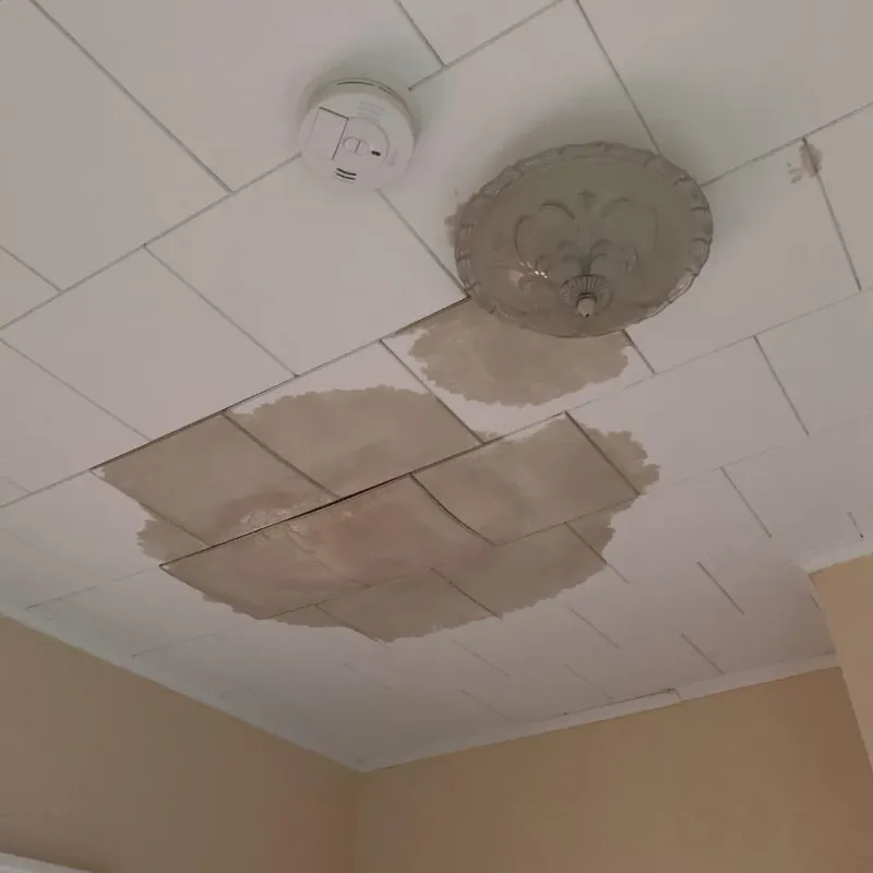 Ceiling Water Damage Repair in Garland, UT