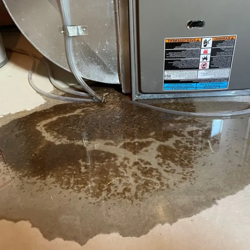 Pipe Burst and Leak Restoration in Garland, UT