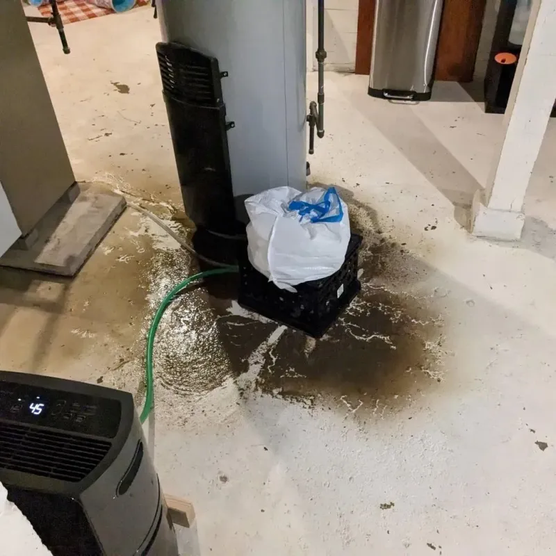 Sewage Backup Cleanup Service in Garland, UT